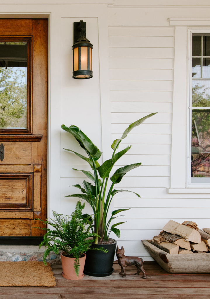 Indoor Plants and Planters – Bring the Outdoors In